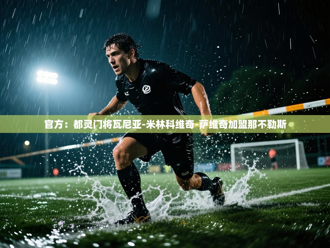 官方：都灵门将瓦尼亚-米林科维奇-萨维奇加盟那不勒斯  第1张