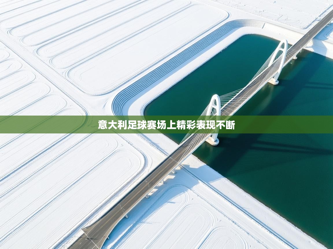 意大利足球赛场上精彩表现不断  第1张