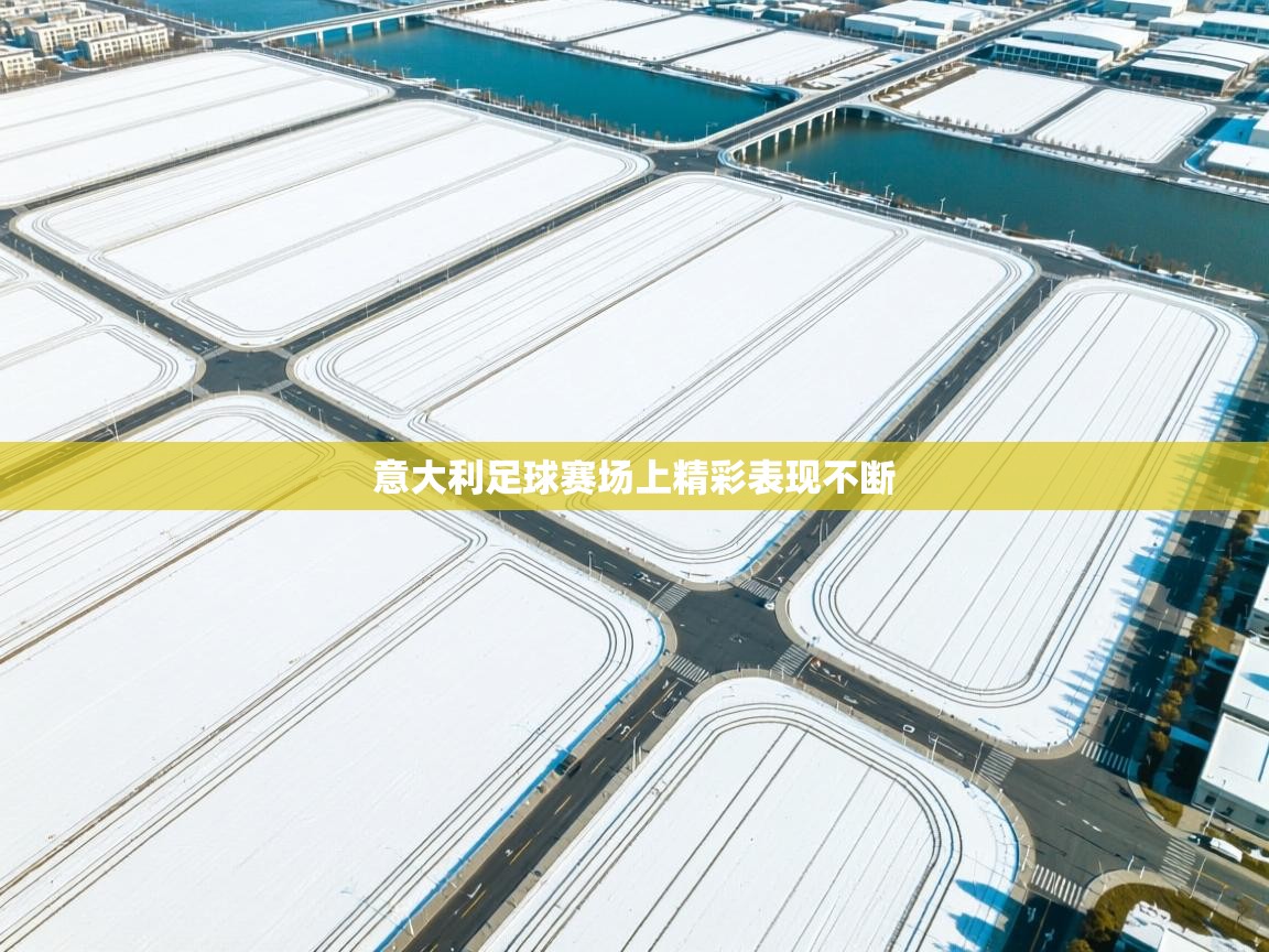 意大利足球赛场上精彩表现不断  第2张