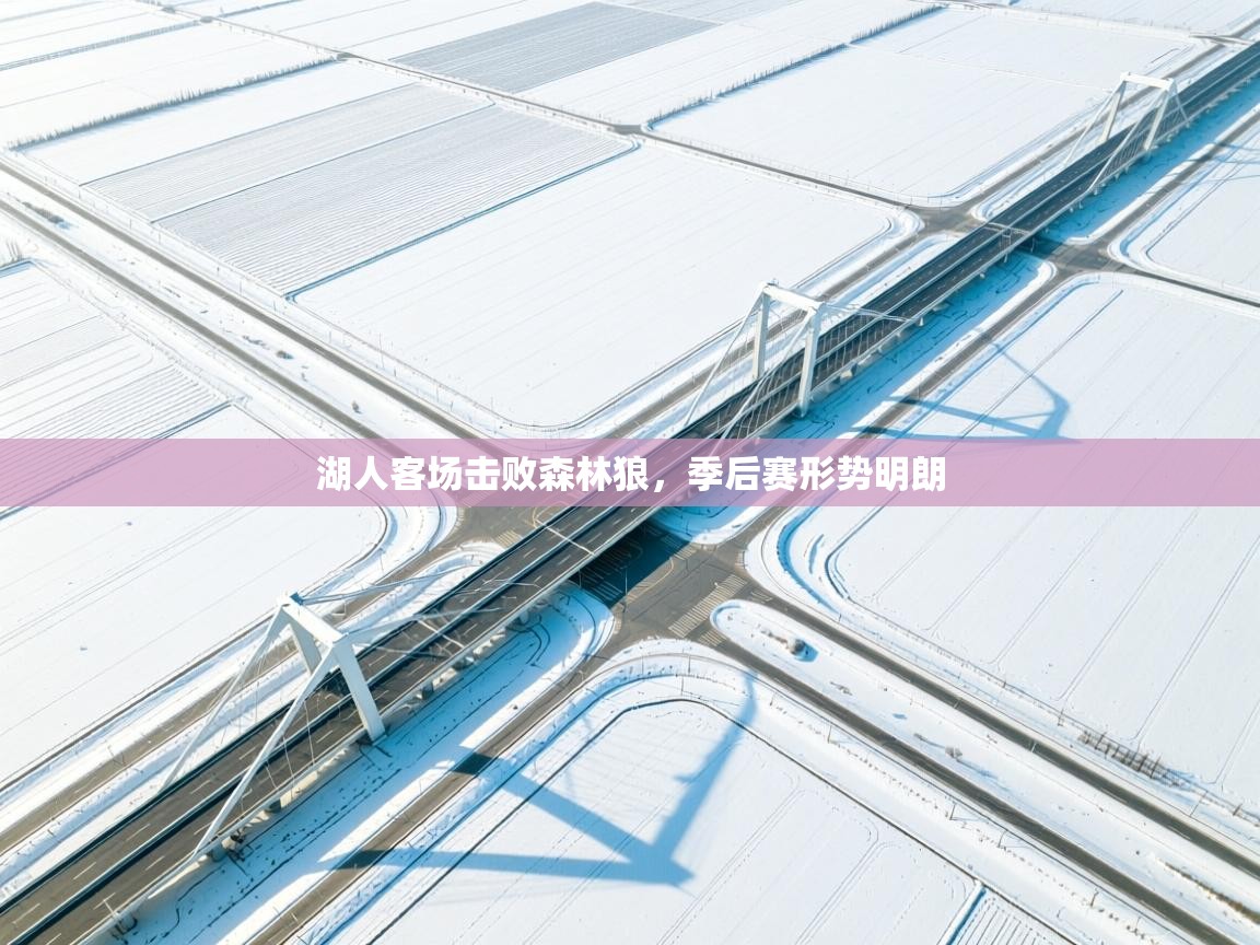 湖人客场击败森林狼，季后赛形势明朗  第1张